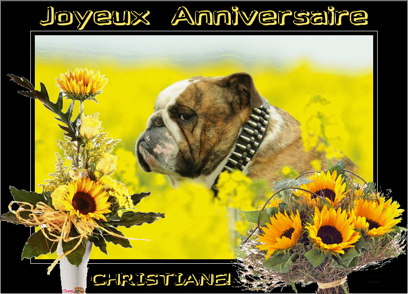 Joyeux Anniversaire Un Peu De Tout Du Rire Et Du Serieux