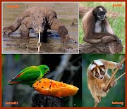 26+ Gambar Flora Dan Fauna Di Laos, Istimewa!