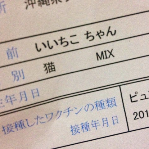 病気 みたい に 君 が 好き