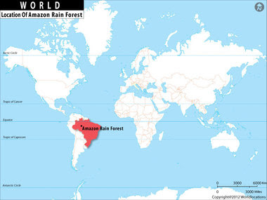 Amazon Rainforest - Rainforest Biome