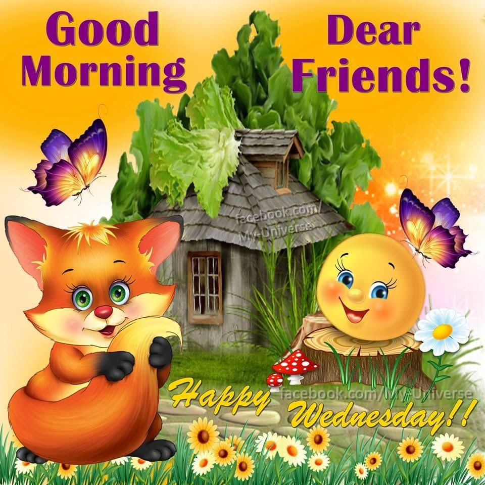 Good Morning Dear Friends Happy Wednesday Pictures, Photos 