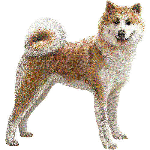 秋田犬 あきたけん あきたいぬ のイラスト 条件付フリー素材集