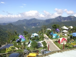雲景露營區(阿里山露營)