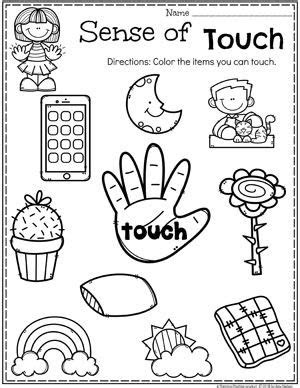  preschool my 5 senses worksheet thekidsworksheet