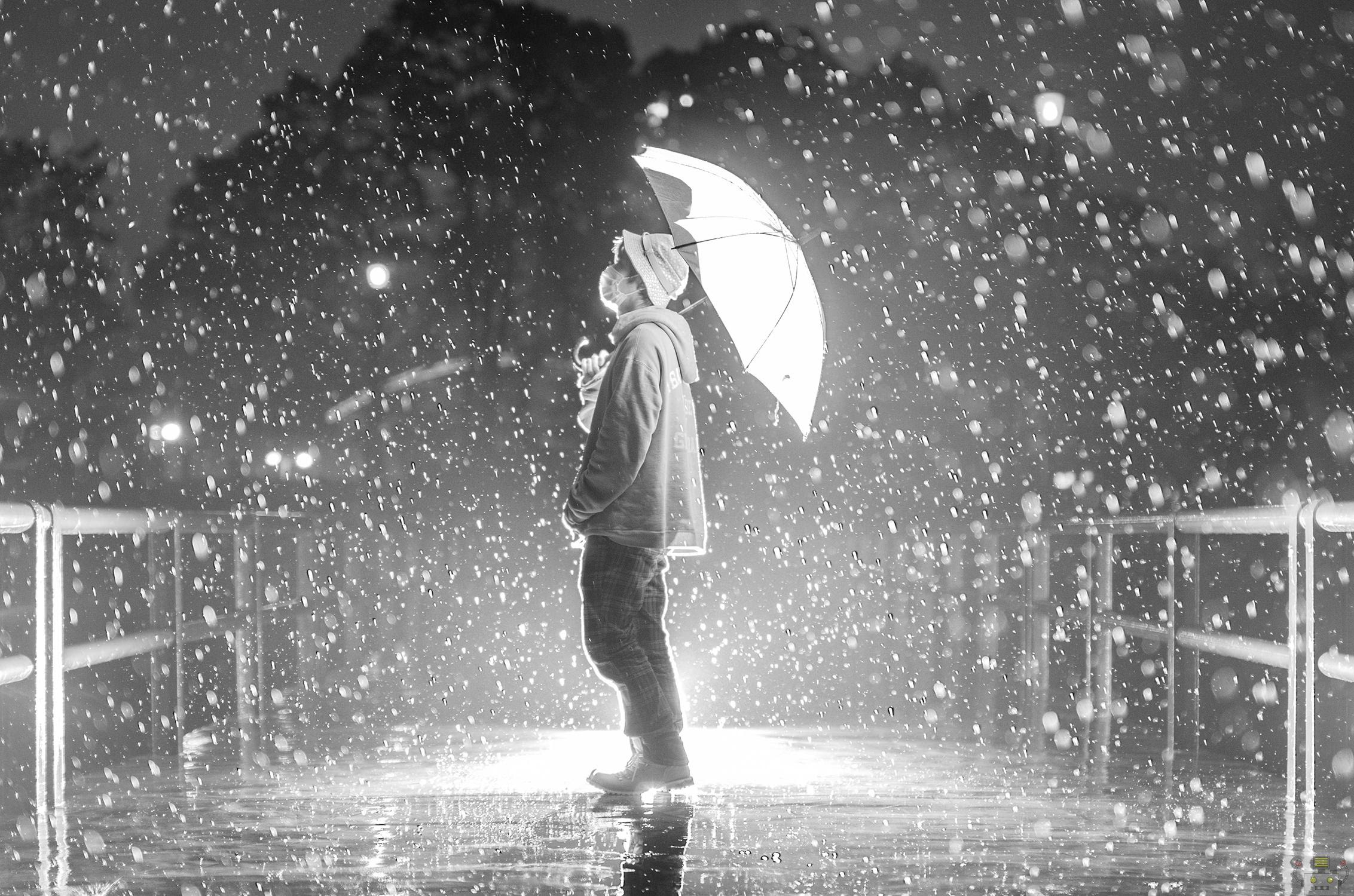 雨のキレイで高画質な画像 壁紙まとめ 写真まとめサイト Pictas