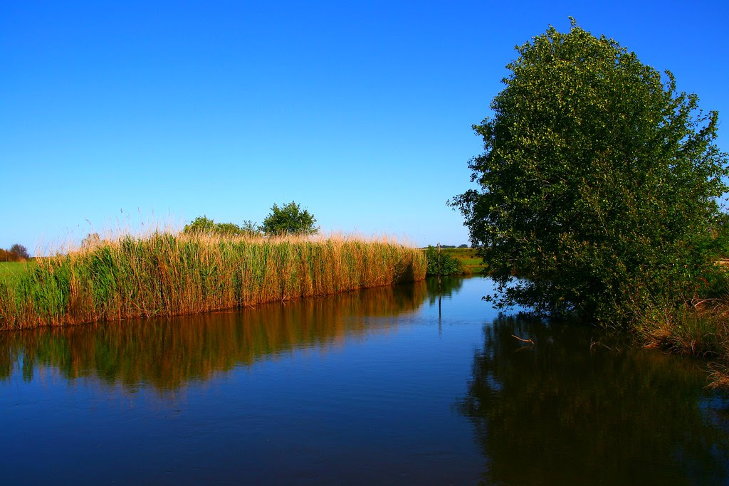 The sound of silence