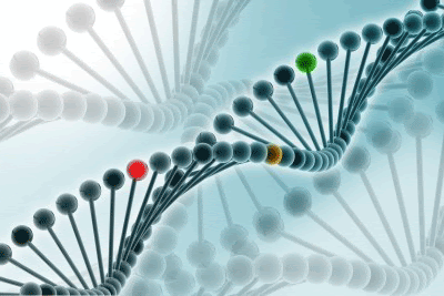 Your Genes Are Not Your Destiny!