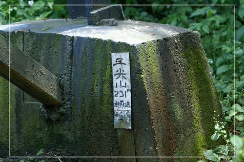 PICT4251