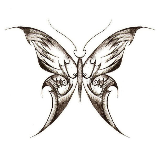 butterfly tattoo