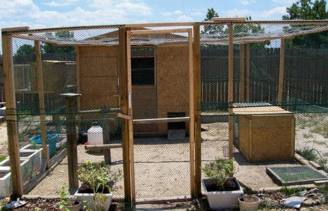 Birdseyeview's Chicken Coop - BackYard Chickens Community
