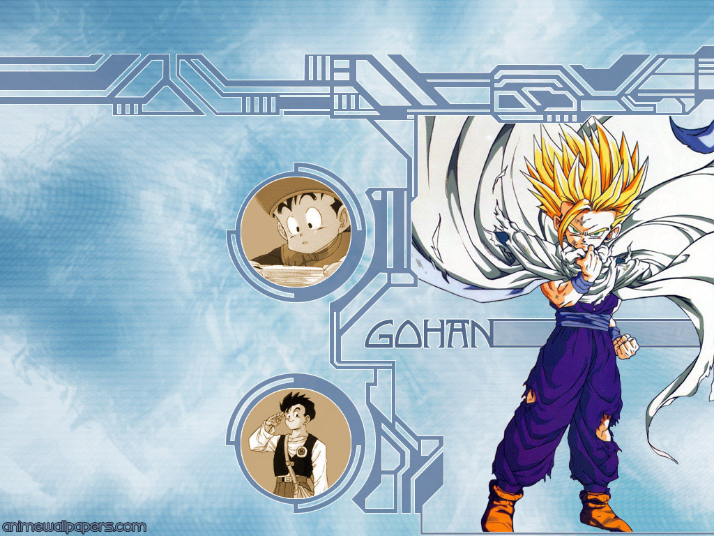 アニメ 漫画の壁紙 ドラゴンボール壁紙 4