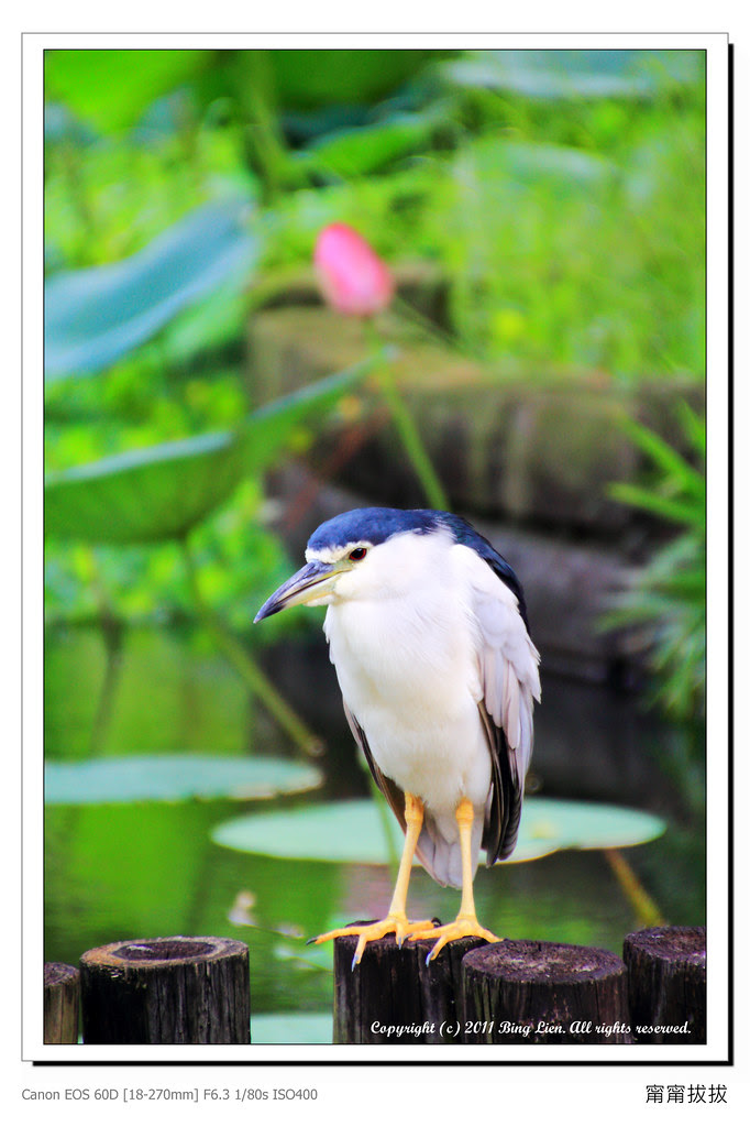 nEO_IMG_IMG_6393