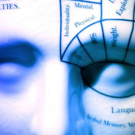 A brief history of our desire to peer into the brain