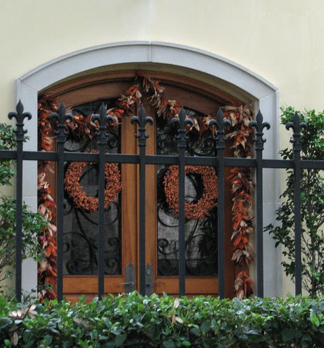 Looking Through The Fence