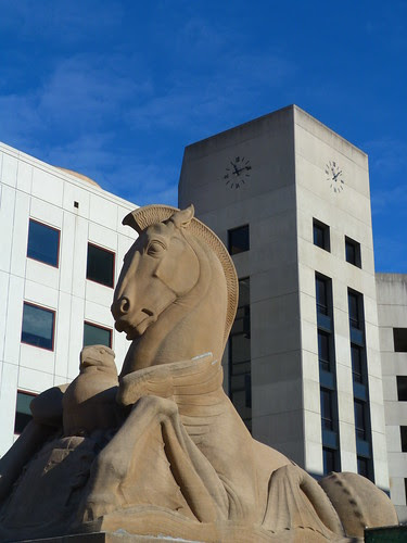 Aquatic Sea Horse, Baltimore
