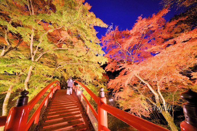 伊香保温泉の紅葉名所５選 ライトアップから必見の穴場まで 群馬県 トラベルjp 旅行ガイド