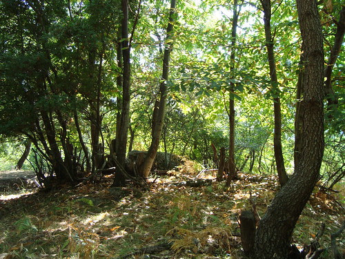 DSC01289