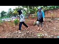 Pemanfaatan Pekarangan Untuk Menanam Sayuran #DesaMekarsari