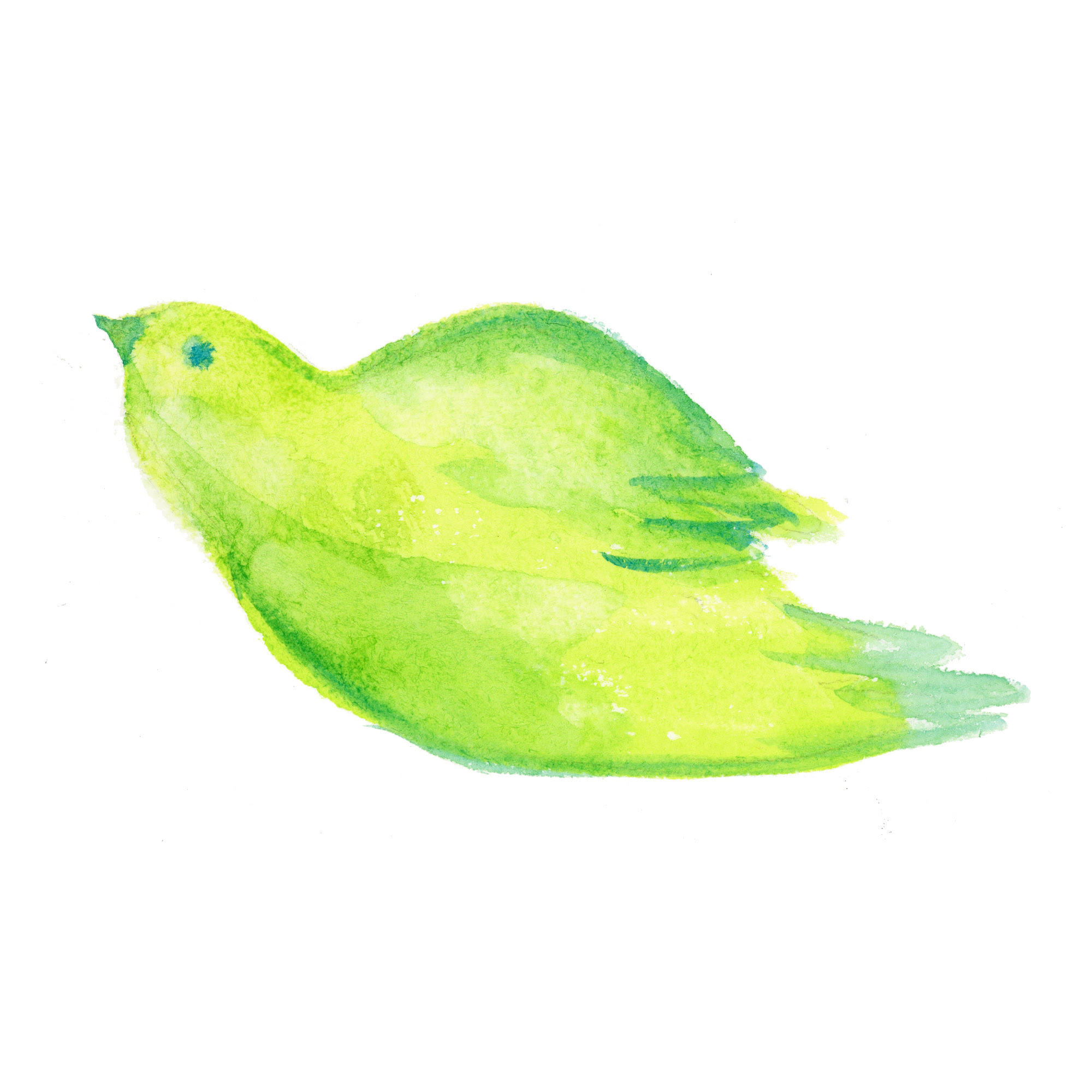 飛んでいる鳥 Sui Sai 水彩画イラストフリー素材集