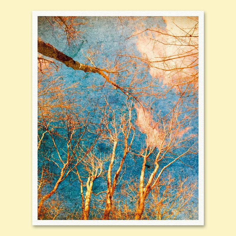CLEARANCE Home decor tree photography winter forest by bomobob