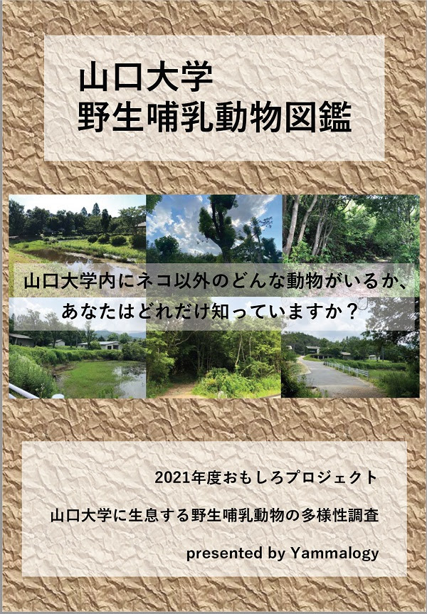 山口大学おもしろプロジェクト Yamaguchi University