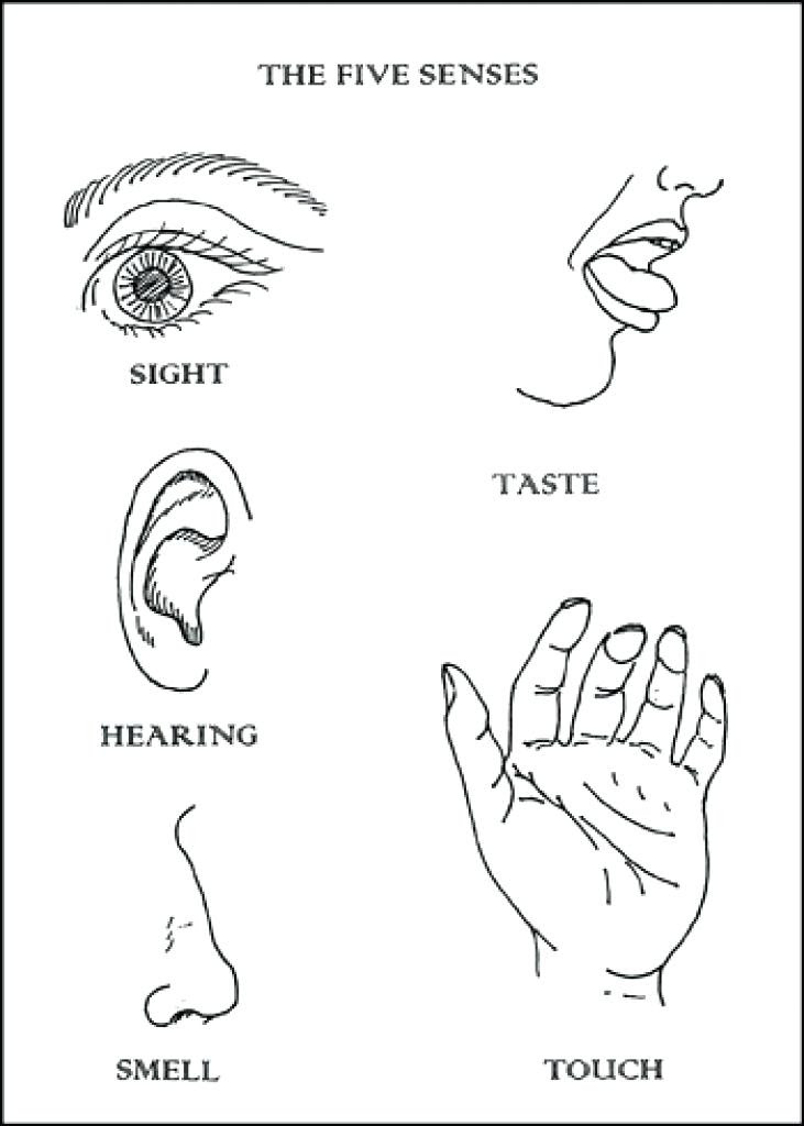 Taste Of Home Coloring Pages at GetColorings.com | Free ...