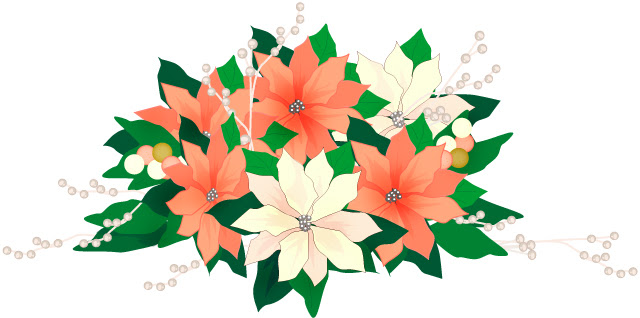 フリー素材 クリスマス ポインセチア