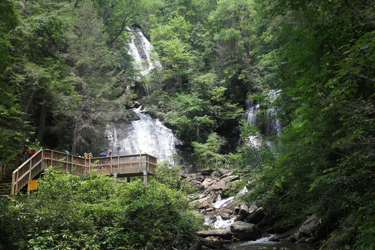 Menschlicher Tausendfüssler