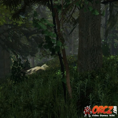 The Forest Bush Orcz Com The Video Games Wiki