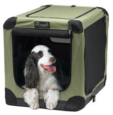 Spaniel