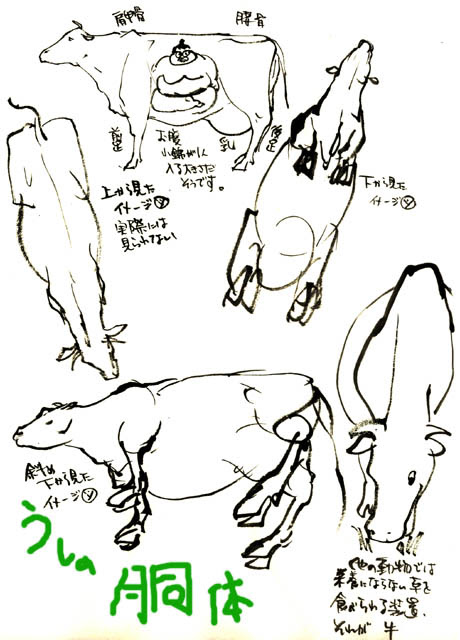 牛の描き方