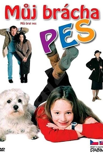 Kép