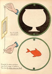 poisson bocal