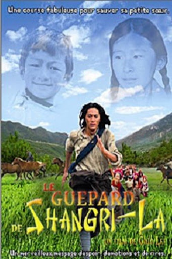 Kép