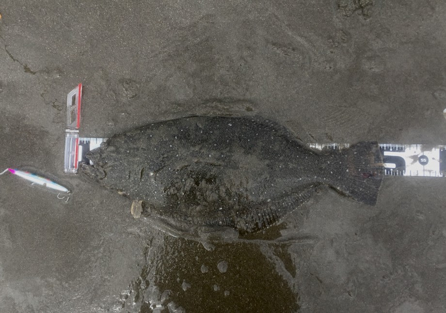 下手な鉄砲 数打ちゃ当たる 珍釣行記 144 21鹿島サーフ ヒラメ1
