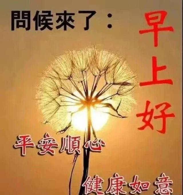 一成不变的是友情 一心牵挂的是朋友 朋友早上好 热备资讯