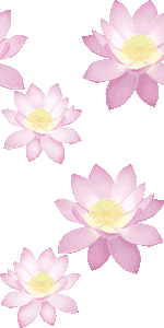 スマホ用ページ ハスの花 蓮の花の壁紙 条件付フリー素材集