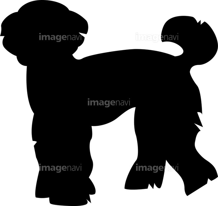 トイプードルのシルエット の画像素材 イラスト素材ならイメージナビ