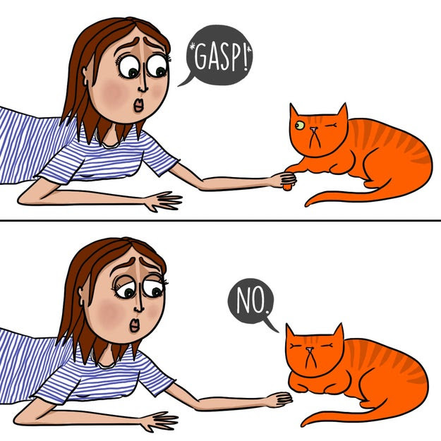 Trying to hold hands with your cat even though they never really like it.