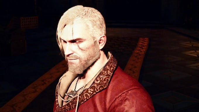 Witcher 3 Hairstyles - Ciri Alternate Hairstyle (Both Player and NPC) at The Witcher 3 Nexus