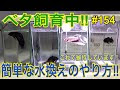 [コンプリート！] ベタ 水 換え方 170910