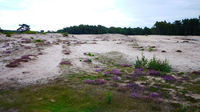 P1040060