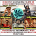 Bollywood Tollywood Kollywood Mollywood - Bollywood Tollywood Kollywood Mollywood Actress News Sanikizhamai Sayangalam 5 Mani : Here is the list of top highest paid bollywood(north india), kollywood( tamil film industry), tollywood( telgul film industry), sandalwood( karnataka film industry), mollywood( malayalam film industry), and bhollywood( bhojpuri film industry), actress in this year.