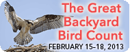 Great Backyard Bird Count