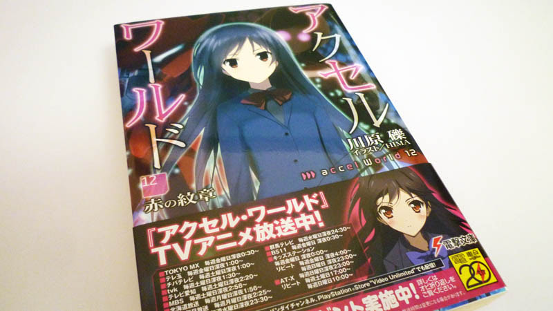 アクセル ワールド 12巻 感想 挿絵のフーコ姉さんのネグリジェが何を意味するのか気になる12巻 Nebigen