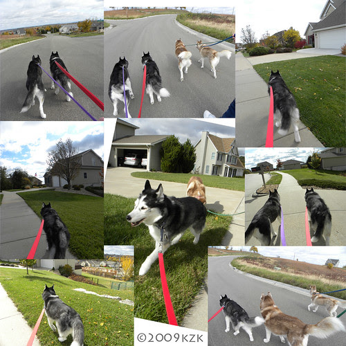 collagewalk23oct09