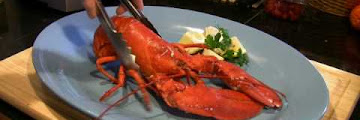 Lobster Body Parts And Uses Download Youtube Mp3 and Mp4
