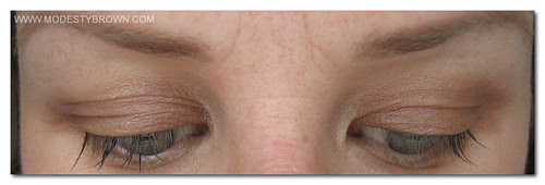 lash update2