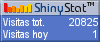 Web counter