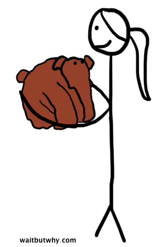 Taming the Mammoth: Why You Should Stop Caring What Other People Think